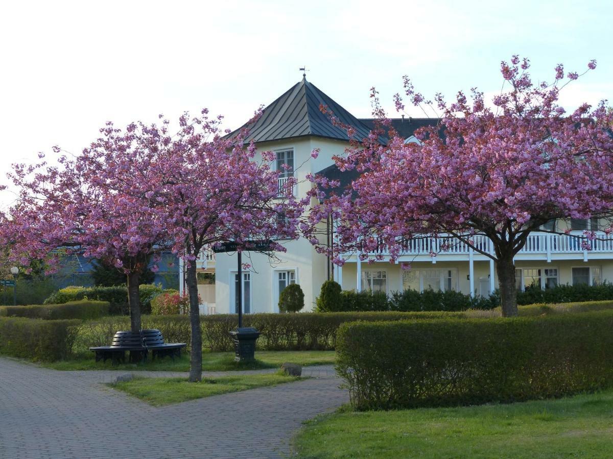 Ferienwohnung Dünenpark in Binz für Eltern und Kind Exterior foto